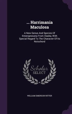 Cover ... Harrimania Maculosa: A New Genus and Species of Enteropneusta from Alaska, with Special Regard to the Character of Its Notochord