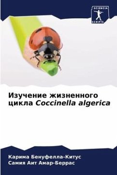 Izuchenie zhiznennogo cikla Coccinella algerica - Benufella-Kitus, Karima;Ait Amar-Berras, Samiq