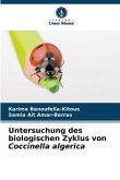 Untersuchung des biologischen Zyklus von Coccinella algerica