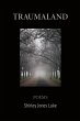 Traumaland - Bild 1