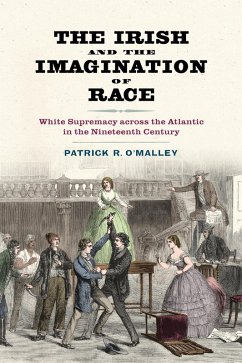 Cover The Irish and the Imagination of Race (eBook, ePUB)