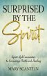 Surprised by the Spirit (eBook, ePUB) - Bild 1