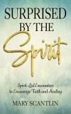 Surprised by the Spirit (eBook, ePUB)