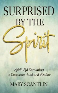 Surprised by the Spirit (eBook, ePUB) - Scantlin, Mary