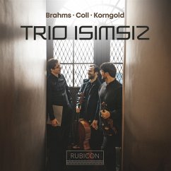 Piano Trios - Trio Isimsiz