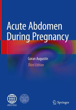 Cover Acute Abdomen During Pregnancy (eBook, PDF)