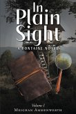 In Plain Sight (eBook, ePUB)