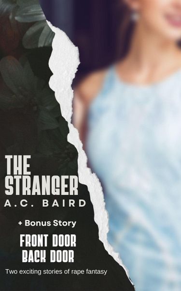 The Stranger (eBook, ePUB)