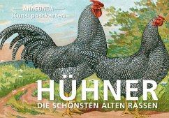 Postkarten-Set Hühner - Anaconda Verlag