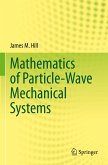 Mathematics of Particle-Wave Mechanical Systems