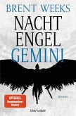 Gemini / Nachtengel Bd.2