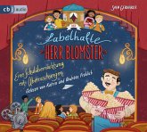 Eine Schulübernachtung mit Überraschungen / Der fabelhafte Herr Blomster Bd.2 (Audio-CD)