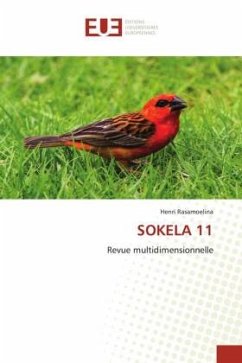 SOKELA 11 - Rasamoelina, Henri