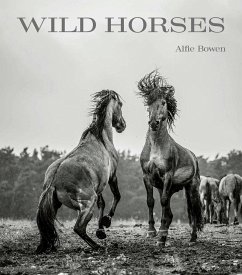 Wild Horses - Bowen, Alfie