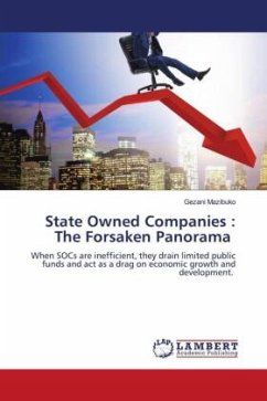 State Owned Companies : The Forsaken Panorama - Mazibuko, Gezani