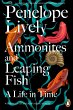 Ammonites and Leaping Fish - Bild 1