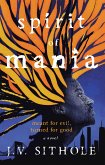 Spirit of Mania (eBook, ePUB)