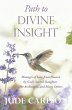 Path to Divine Insight (eBook, ePUB) - Bild 1