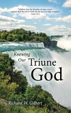 Knowing Our Triune God (eBook, ePUB)