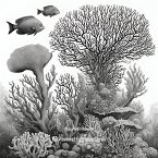 The Realm of Luminous Corals (eBook, ePUB)