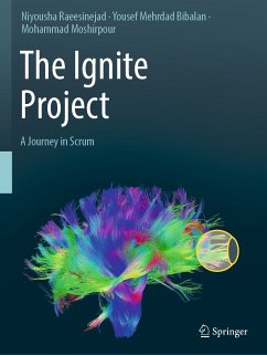 The Ignite Project (eBook, PDF) - Raeesinejad, Niyousha; Mehrdad Bibalan, Yousef; Moshirpour, Mohammad