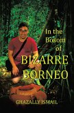 In the Bosom of BIZARRE BORNEO (eBook, ePUB)