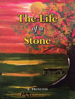 Cover The Life of a Stone (eBook, ePUB)