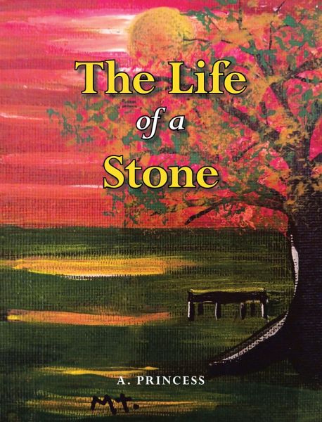 The Life of a Stone (eBook, ePUB)