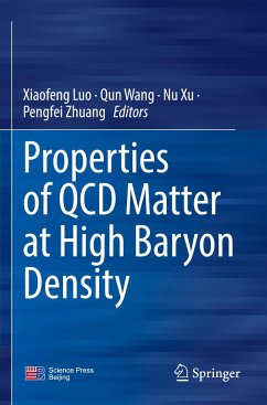 Properties of QCD Matter at High Baryon Density