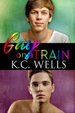 Gay on a Train (eBook, ePUB)