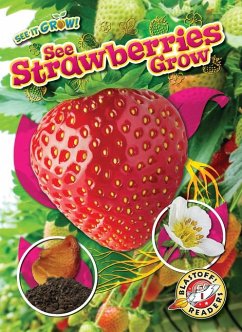 Cover See Strawberries Grow