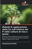 Metodi di applicazione dello Zn sull'utilizzo del P nelle colture di riso e grano