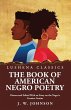The Book of American Negro Poetry... - Bild 1
