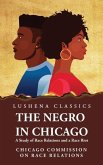 The Negro in Chicago A Study of Race Relations and a Race Riot