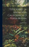 Tesis Sobre La Anemopsis Californica O Yerba Mansa