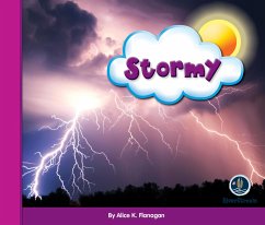 Eye on the Sky: Stormy - Flanagan, Alice K