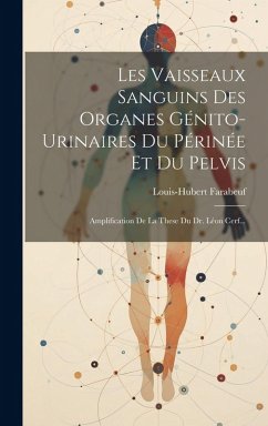 Cover Les Vaisseaux Sanguins Des Organes Génito-urinaires Du Périnée Et Du Pelvis