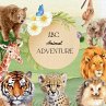 ABC Animal Adventure - Bild 1