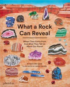 What a Rock Can Reveal - Wei-Haas, Maya