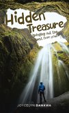 Hidden Treasure (eBook, ePUB)