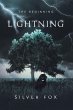 Lightning (eBook, ePUB) - Bild 1