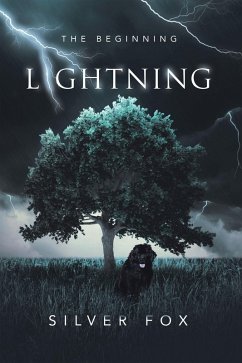 Lightning (eBook, ePUB)
