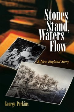 Stones Stand, Waters Flow (eBook, ePUB) - Perkins, George