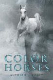 Color of Horses (eBook, ePUB)