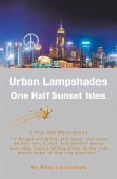 Urban Lampshades (eBook, ePUB)