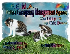 F.E.M.A (eBook, ePUB)