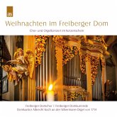 Weihnachten Im Freiberger Dom