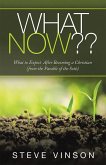 What Now?? (eBook, ePUB)