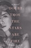 Doubt Thou the Stars Are Fire (eBook, ePUB)