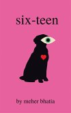 Six-Teen (eBook, ePUB) Six-Teen (eBook, ePUB)